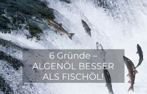 Algenöl vs. Fischöl | GREEN LEAN MARINE®