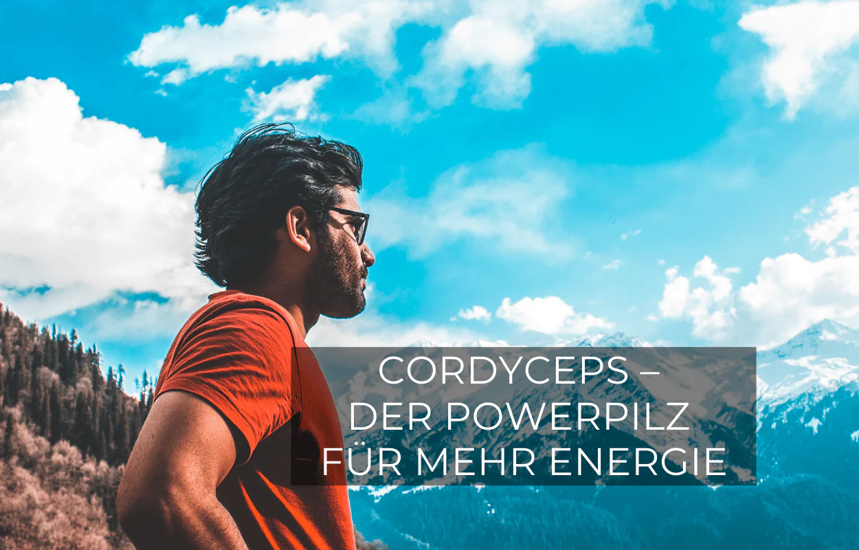 Cordyceps – der Powerpilz für mehr Energie