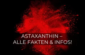 Astaxanthin kaufen? Alle Fakten & Infos | GREEN LEAN MARINE®