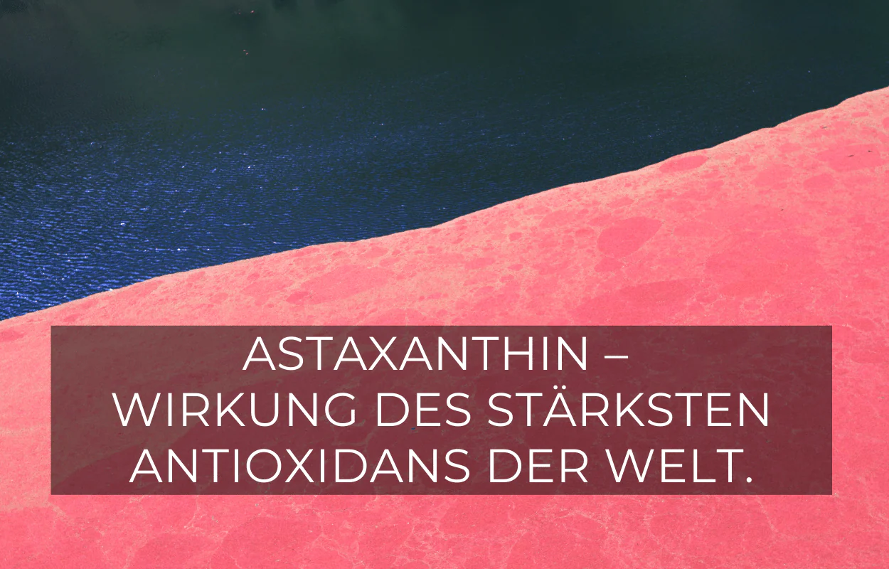 Astaxanthin Wirkung: stärkstes Antioxidans der Welt?