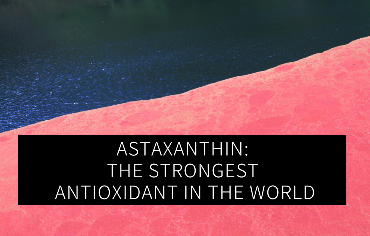 Astaxanthin Effect | GREEN LEAN MARINE®