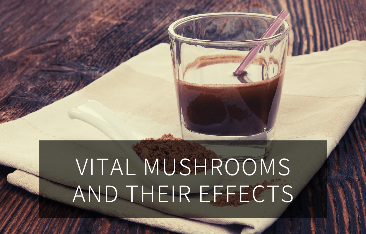 Medicinal Mushrooms | GREEN LEAN MARINE®